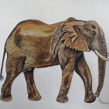 Dessin intitulée "éléphant 4" par Christine Dos Santos, Œuvre d'art originale, Crayon