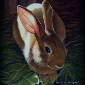 Dessin intitulée "sunny bunny" par Christine Mergnat, Œuvre d'art originale, Pastel