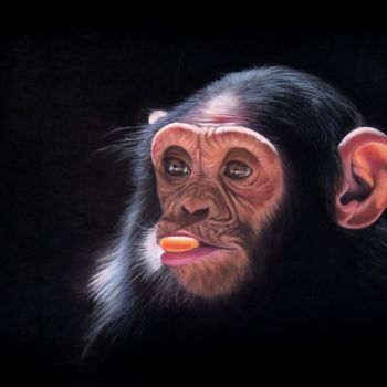 Painting titled "sunny monkey" by Christine Mergnat, Original Artwork, Pastel