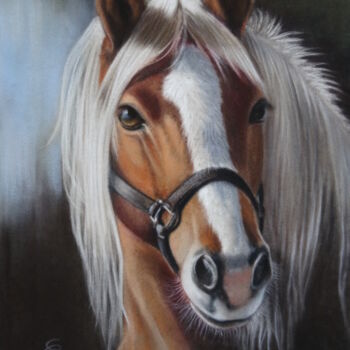 Painting titled "Crin Blanc" by Christine Mergnat, Original Artwork, Pastel