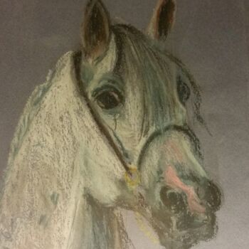 Malerei mit dem Titel "cheval arabe" von Christine Nemoz, Original-Kunstwerk, Pastell