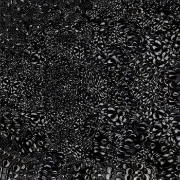 "banksia meteore n°1" başlıklı Dijital Sanat Christophe Gueraut tarafından, Orijinal sanat, 2D Dijital Çalışma