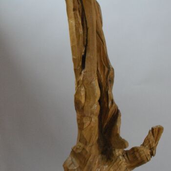 Sculpture titled "la trace de l'homme" by Christophe Lm, Original Artwork, Wood