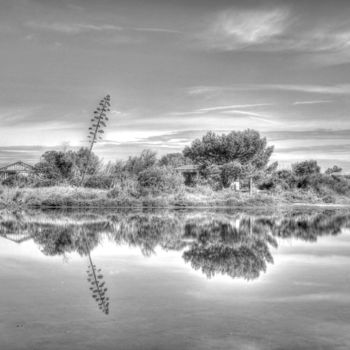 Photographie intitulée "Photographie 11" par Christophe Pealardy, Œuvre d'art originale