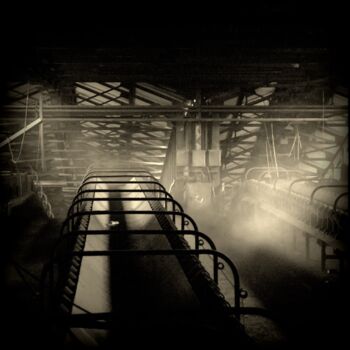 Фотография под названием "tapis roulant" - Christophe Plousey, Подлинное произведение искусства, Цифровая фотография