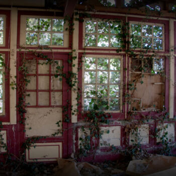 Photographie intitulée "la baie vitrée natu…" par Christophe Plousey, Œuvre d'art originale, Photographie non manipulée