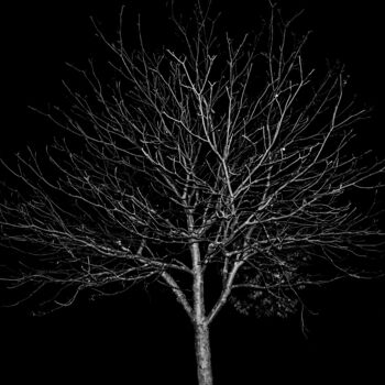 "Death of Nature" başlıklı Fotoğraf Christopher Hanz tarafından, Orijinal sanat, Dijital Fotoğrafçılık