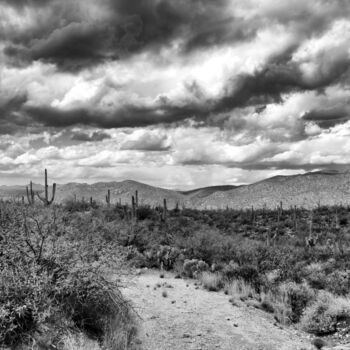 Fotografia intitulada "The Arizona desert…" por Christopher L Smith, Obras de arte originais, Fotografia digital