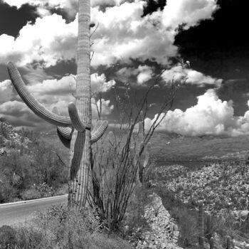 Fotografia intitolato "The Arizona Desert…" da Christopher L Smith, Opera d'arte originale, Fotografia digitale