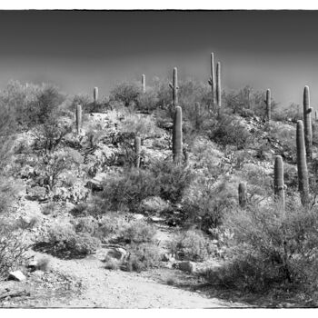 Fotografia intitolato "Sabino Canyon Arizo…" da Christopher L Smith, Opera d'arte originale, Fotografia digitale