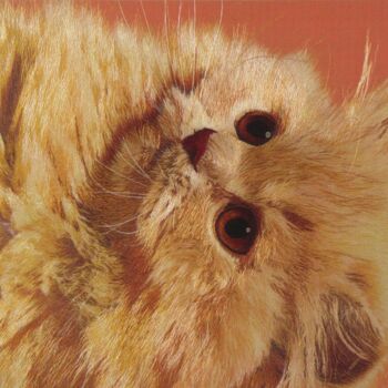 Artcraft titled "Cat" by Chunfang Lu, Original Artwork