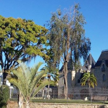 Fotografia intitulada "O castelo" por Mary Priest, Obras de arte originais