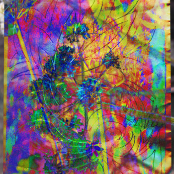Digitale Kunst mit dem Titel "a03-envol.jpg" von Cilce, Original-Kunstwerk