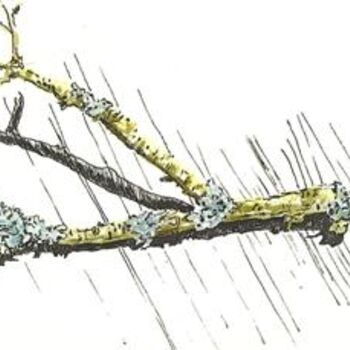 Schilderij getiteld "Lichen Stick" door Cindy Krysac, Origineel Kunstwerk