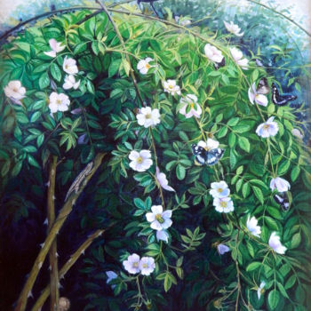 Schilderij getiteld "Wild Rose Bush" door Cinzia Marotta, Origineel Kunstwerk, Olie