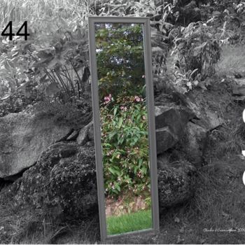 Photography titled "Mirror in my garden" by Charles Cunningham, Original Artwork