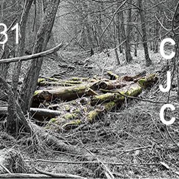 Photography titled "Dead Wood" by Charles Cunningham, Original Artwork
