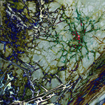 Digitale Kunst mit dem Titel "fissure" von Cj Perin, Original-Kunstwerk, Digitale Malerei