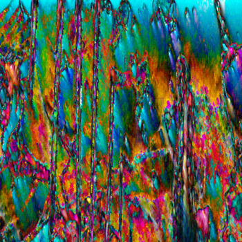 Digitale Kunst mit dem Titel "Floraison sauvage" von Cj Perin, Original-Kunstwerk, Digitale Malerei