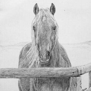 Dessin intitulée "cheval 01" par Claire Arnoult, Œuvre d'art originale, Graphite