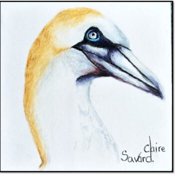 Drawing titled "La Fouine" by Claire Savard, Original Artwork, Pastel Mounted on Wood Panel