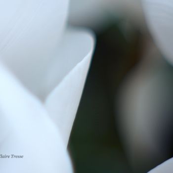 Photographie intitulée "Sensualité et tenta…" par Claire Tresse, Œuvre d'art originale