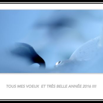 Photography titled "Très bonne et belle…" by Claire Tresse, Original Artwork