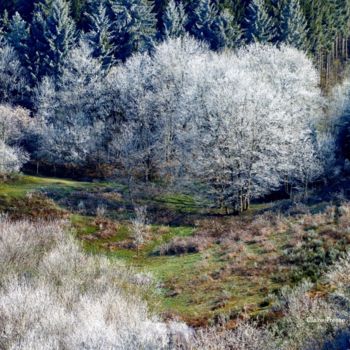 Fotografía titulada "Tel un mur blanc qu…" por Claire Tresse, Obra de arte original