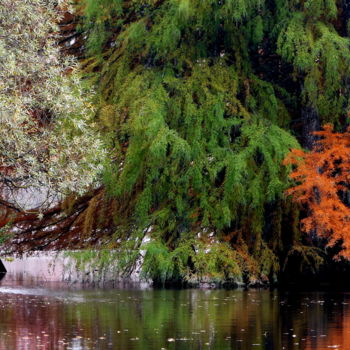 Photographie intitulée "Enchanteur" par Claire Tresse, Œuvre d'art originale