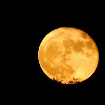 Fotografia intitulada "La Super Lune" por Claire Tresse, Obras de arte originais