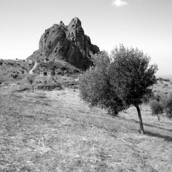 Photographie intitulée "Arbres 030" par Chiara D., Œuvre d'art originale