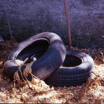 Photographie intitulée "Pneus" par Chiara D., Œuvre d'art originale