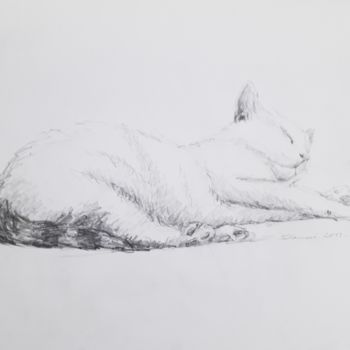 Dessin intitulée "Croquis de chat" par Clarisse Lamotte, Œuvre d'art originale, Crayon