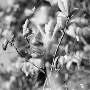 Fotografie mit dem Titel "Le Tulipier" von Clara Diebler, Original-Kunstwerk, Analog Fotografie Auf Aluminium montiert