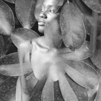 "Leave's mirror" başlıklı Fotoğraf Clara Diebler tarafından, Orijinal sanat, Analog Fotoğrafçılık Metal üzerine monte edilmiş