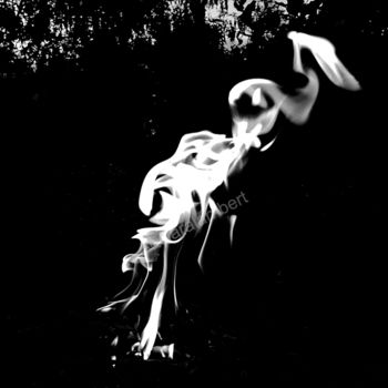 Fotografia intitolato "Pelican" da Clara Lambert, Opera d'arte originale, Fotografia digitale