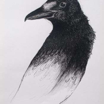 Dibujo titulada "Crow? Raven?" por Clara Almada, Obra de arte original, Tinta