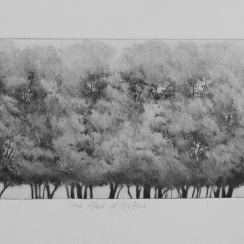 Impressões e gravuras intitulada "une haie d'arbres" por Claude Amaouche, Obras de arte originais, Gravação