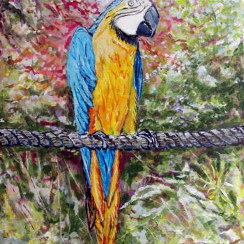 Peinture intitulée "Coco le perroquet" par Claude Evrard, Œuvre d'art originale, Acrylique Monté sur Plexiglas