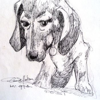 Drawing titled "Un chien nommé Pepsi" by Claude Hardenne, Original Artwork, Marker