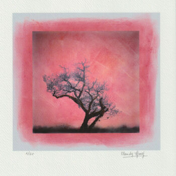 Arte digital titulada "arbre 6" por Claude Huré, Obra de arte original, Fotografía manipulada