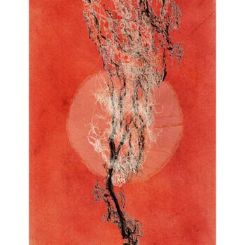 Photography titled "Arbre 10" by Claude Huré, Original Artwork, Manipulated Photography