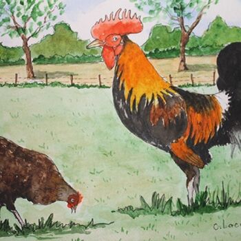 Painting titled "coq et poule" by Claude Lacointe, Original Artwork, Watercolor