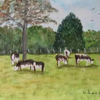 Peinture intitulée "les vaches au champ" par Claude Lacointe, Œuvre d'art originale, Aquarelle