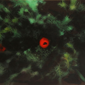 Arts numériques intitulée "Dark poppy.jpg" par Claude Corbier, Œuvre d'art originale, Peinture numérique Monté sur Carton