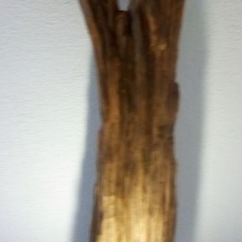 Sculpture titled "bois flotté" by Claudie Thedevuide, Original Artwork, Wood