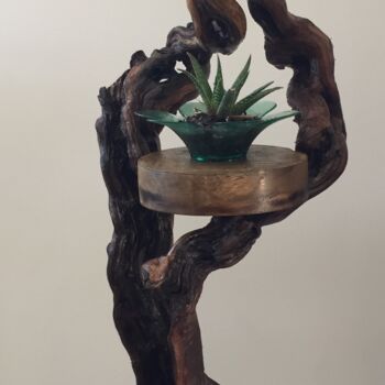 Rzeźba zatytułowany „pieds de vigne et c…” autorstwa Claudie Thedevuide, Oryginalna praca, Drewno