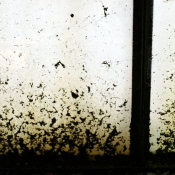 Fotografia zatytułowany „finestra” autorstwa Claudio Benvenuto Rossi, Oryginalna praca