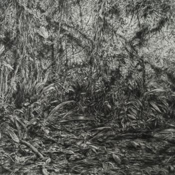 Dessin intitulée "Première Jungle" par Clémence Wach, Œuvre d'art originale, Conté