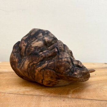 Sculpture titled "Shell" by Clemens Voigt, Original Artwork, Wood